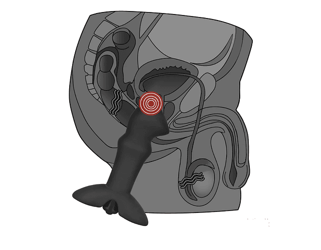 Plug anal Prostate Stud AnalIndulgence