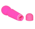 Micrófono vibrador RoseRose