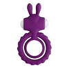 ANILLO OH RABITO