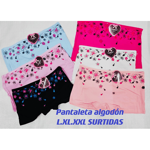 Pantaleta algodón mujer tallas y colores surtidas la docena 