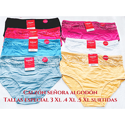 Calzón señora algodón especial tallas y colores surtidas la docena 