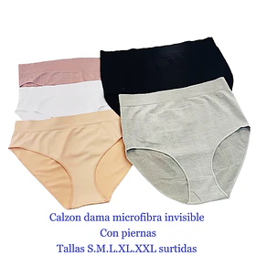 Calzón señora microfibra invisible tallas y colores surtidas la docena 