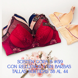 Sostén copa B sin barbas y con rellenos tallas y colores surtidas la docena 