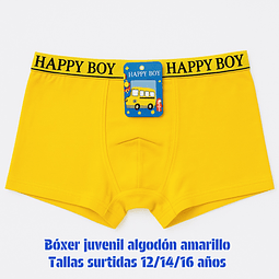 Boxer juvenil Amarillo algodón tallas y colores surtidas la docena 