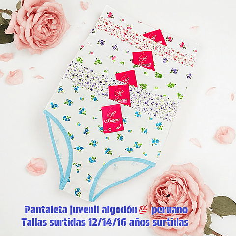 Pantaleta peruano juvenil algodón💯 tallas y colores surtidas la docena 