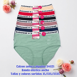 Calzón señora algodón Banda elástica ancha tallas y colores surtidas la docena 