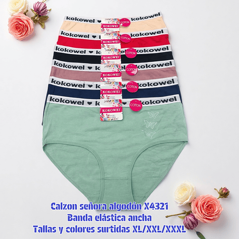 Calzón señora algodón Banda elástica ancha tallas y colores surtidas la docena 