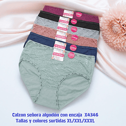 Calzón señora algodón con encaje tallas y colores surtidas la docena 