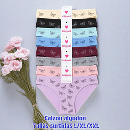 Calzón Lola  algodón tallas y colores surtidas la docena 
