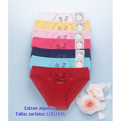 Calzón Lola  algodón tallas y colores surtidas la docena 