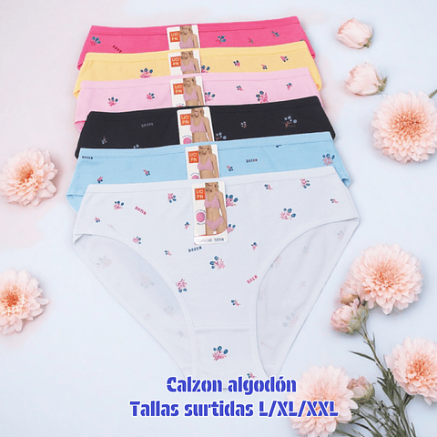 Calzón Lola  algodón tallas y colores surtidas la docena 