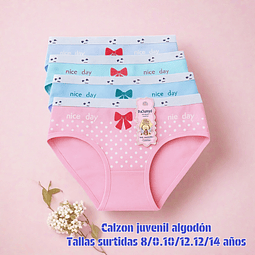 Calzón juvenil algodón tallas y colores surtidas la docena 