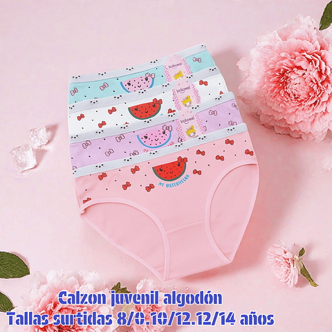 Calzón juvenil algodón tallas y colores surtidas la docena 