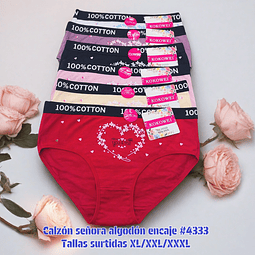 Calzón señora algodón Banda elástica ancha tallas y colores surtidas la docena 