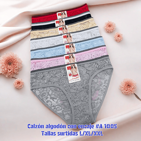 Calzón Lola algodón con encaje tallas y colores surtidas la docena 