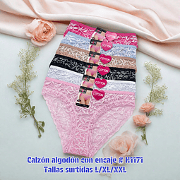 Calzón Lola algodón con encaje tallas y colores surtidas la docena 