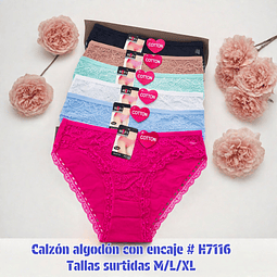 Calzón Lola algodón con encaje tallas y colores surtidas la docena 