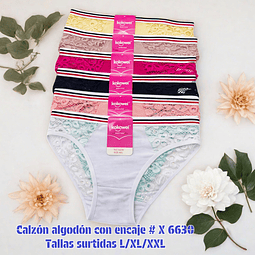 Calzón Lola algodón con encaje tallas y colores surtidas la docena 