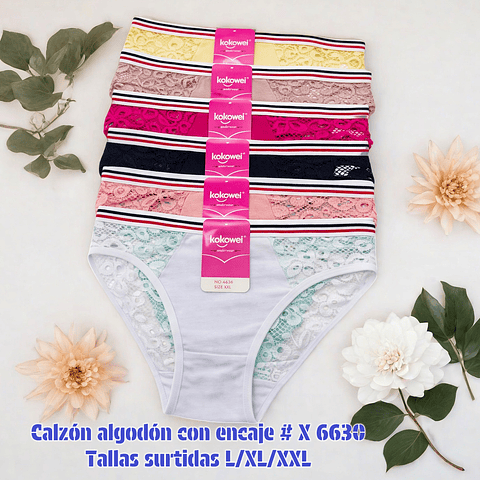 Calzón Lola algodón con encaje tallas y colores surtidas la docena 