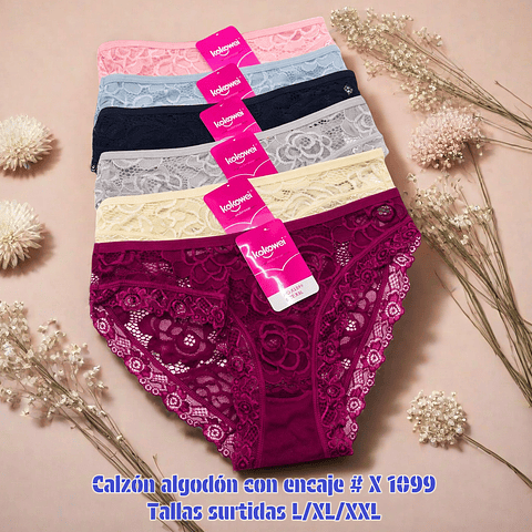 Calzón Lola algodón con encaje tallas y colores surtidas la docena 
