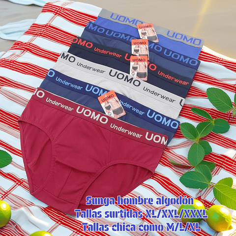 Sunga de varón algodón 95% tallas y colores surtidas la docena 