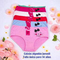 Calzón niña juvenil algodón talla única para 14 año y colores surtidas la docena 