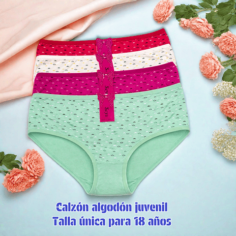 Calzón niña juvenil algodón talla única para 18 año y colores surtidas la docena 