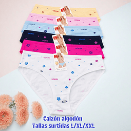 Calzón Lola algodón tallas y colores surtidas la docena