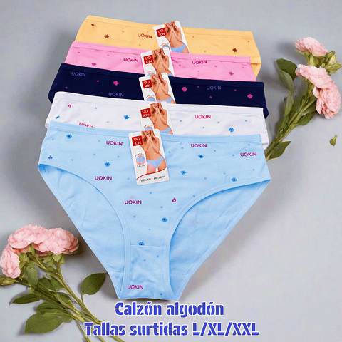 Calzón Lola algodón tallas y colores surtidas la docena