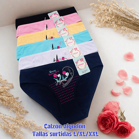 Calzón Lola algodón tallas y colores surtidas la docena