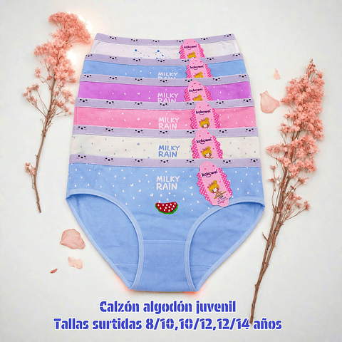 Calzon juvenil algodón tallas y colores surtidas la docena 