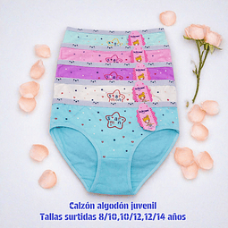 Calzon juvenil algodón tallas y colores surtidas la docena 