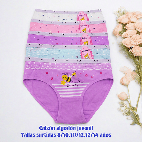Calzon juvenil algodón tallas y colores surtidas la docena 