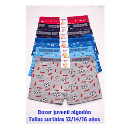 Bóxer juvenil algodón tallas y colores surtidas la docena 