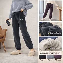 Buzos mujer #2033 interior plush peluditos tiros altos talla estándar para L/XL la docena 