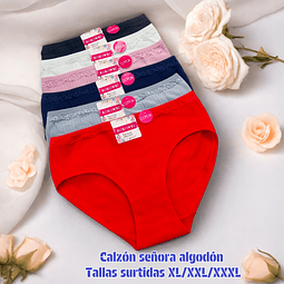 Calzón señora algodón tejido tallas y colores surtidas la docena