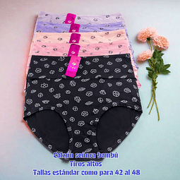 Calzón señora bambú talla estándar y colores surtidas la docena 