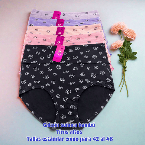 Calzón señora bambú talla estándar y colores surtidas la docena 