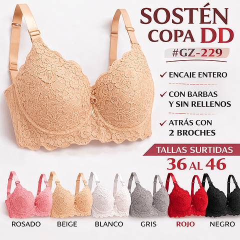Sostén señora Copa DD con barbas y sin rellenos tallas y colores surtidas la docena 