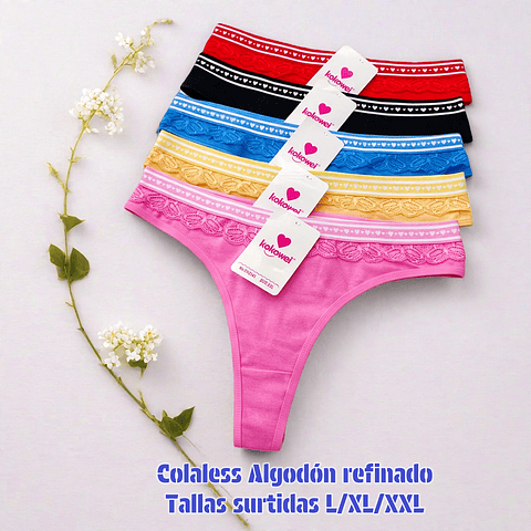 Colaless algodón tallas y colores surtidas la docena 