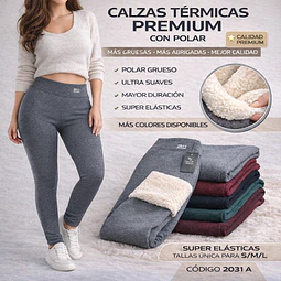 Calzas térmicas interior polar PREMIUM #2031A con 5 colores surtidas la docena 