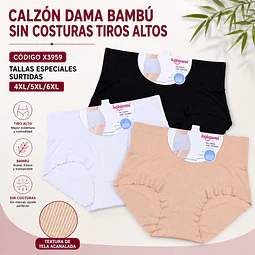 Calzón bambú sin costuras tiros altos tallas especiales 4XL/5XL/6XL y colores surtidas la docena 
