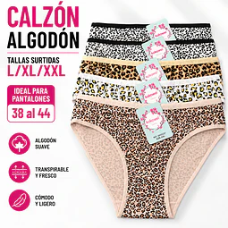 Calzón algodón tallas y colores surtidas la docena 