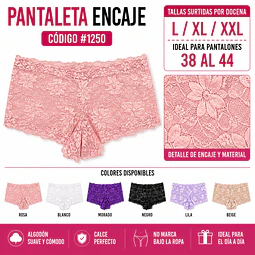 Pantaleta con encajes tallas y colores surtidas la docena 