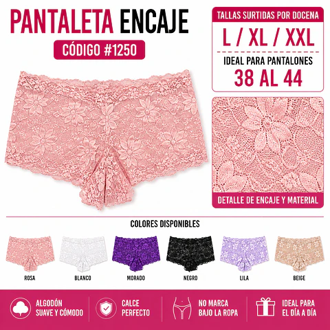 Pantaleta con encajes tallas y colores surtidas la docena 
