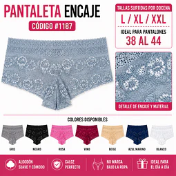 Pantaleta con encajes tallas y colores surtidas la docena 