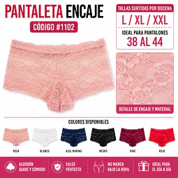 Pantaleta con encajes tallas y colores surtidas la docena 