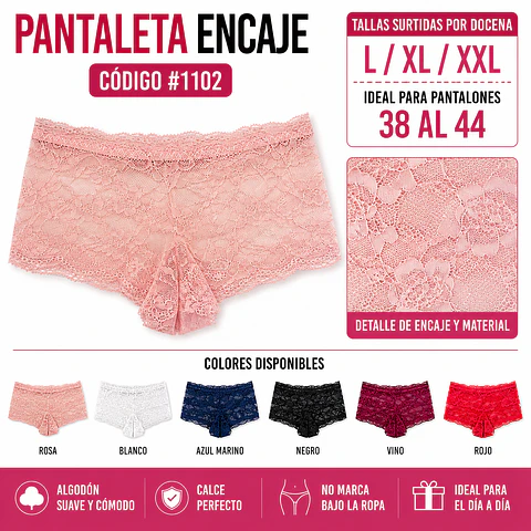 Pantaleta con encajes tallas y colores surtidas la docena 