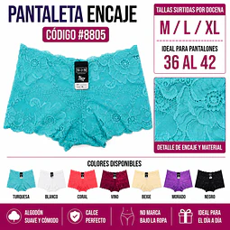 Pantaleta con encajes tallas y colores surtidas la docena 