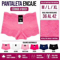 Pantaleta con encajes tallas y colores surtidas la docena 